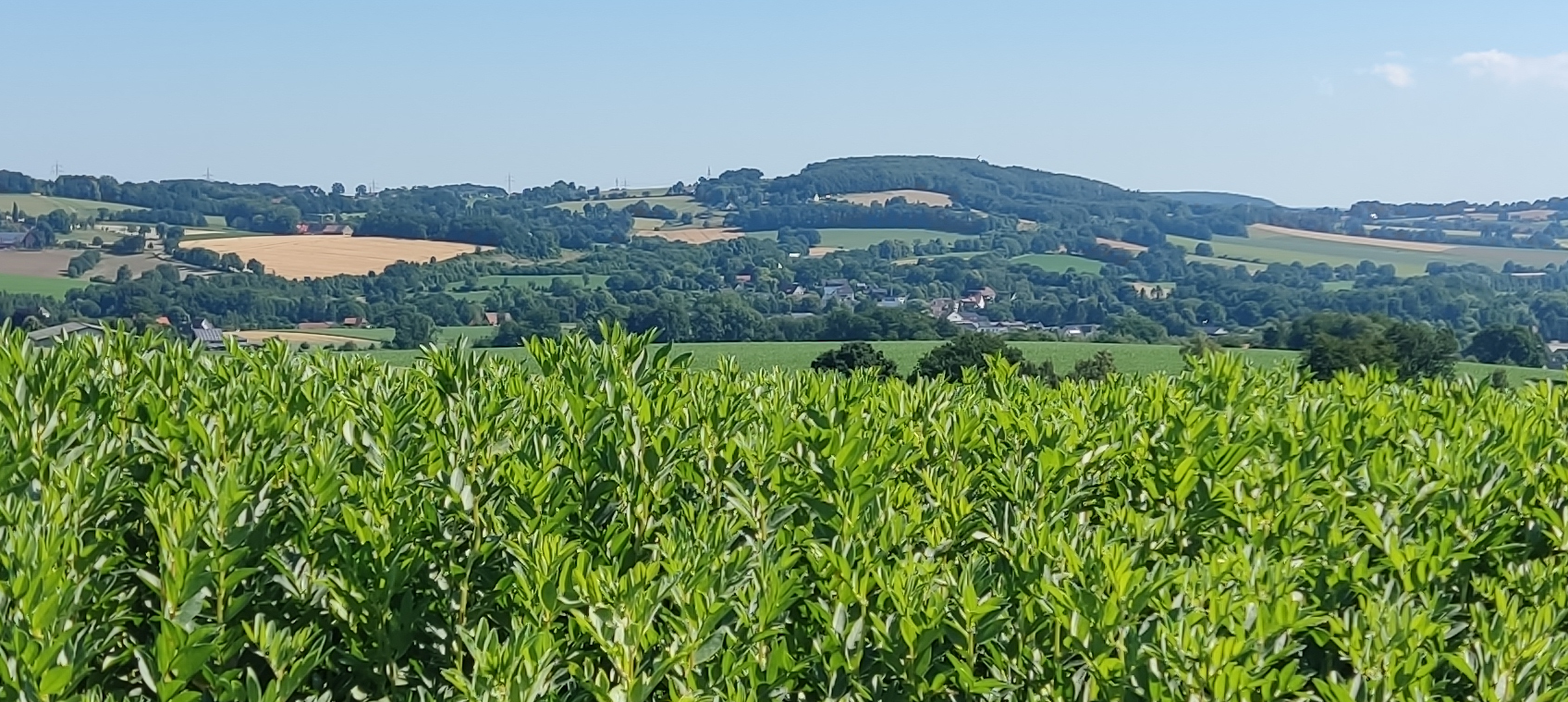 Ausblick Richtung Exter